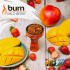 Заказать кальянный табак Burn Mild Berry (Берн Земляника Манго) 100г онлайн с доставкой всей России фото - 2
